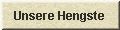 Unsere Hengste